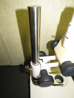 Zeiss Stemi 2000C Stereo Microscope with TLB3000 Transmitted Light Base