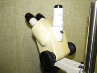 Zeiss Stemi 2000C Stereo Microscope with TLB3000 Transmitted Light Base