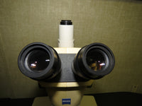 Zeiss Stemi 2000C Stereo Microscope with TLB3000 Transmitted Light Base