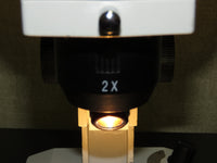 Fisher Scientific StereoMaster 2-4x Inspection Microscope w/ 2 x 10x EyePieces