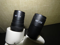 Fisher Scientific StereoMaster 2-4x Inspection Microscope w/ 2 x 10x EyePieces