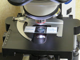 Olympus CX31 Microscope + 4x, 10x, 40x, 100x Oil PlanC N Objectives - Exceptional Condition