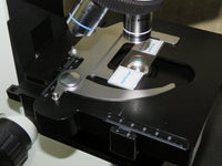 Olympus CX31 Microscope + 4x, 10x, 40x, 100x Oil PlanC N Objectives - Exceptional Condition
