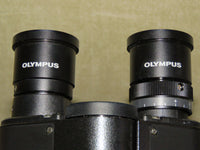 Olympus CX31 Microscope + 4x, 10x, 40x, 100x Oil PlanC N Objectives - Exceptional Condition