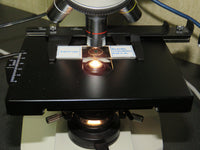 Leica ATC2000 Binocular Microscope w/ 4 Objectives 4x 10x 40x 100x oil + Color Camera