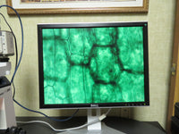 Leica ATC2000 Binocular Microscope w/ 4 Objectives 4x 10x 40x 100x oil + Color Camera
