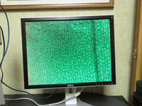 Leica ATC2000 Binocular Microscope w/ 4 Objectives 4x 10x 40x 100x oil + Color Camera