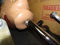 Dental School X-Ray Teaching Trainer Dentsply RINN DXTTR III MANNEQUIN Natural Head 54/6001