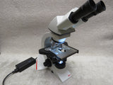 Leica DM1000 LED Laboratory Microscope - 63x 40x 20x objectives IVD IVF