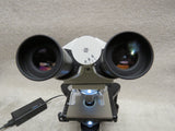Leica DM1000 LED Laboratory Microscope - 63x 40x 20x objectives IVD IVF