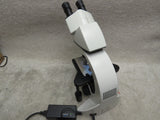 Leica DM1000 LED Laboratory Microscope - 63x 40x 20x objectives IVD IVF