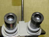 Olympus Tokyo CK inverted Microscope with 3 objectives