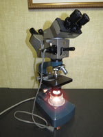Vintage Olympus Dual Head Microscope with DO 1.25x, Objectives - Blue base